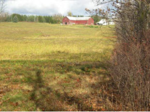 Esperance NY Lawyers Esperance NY Lawyer